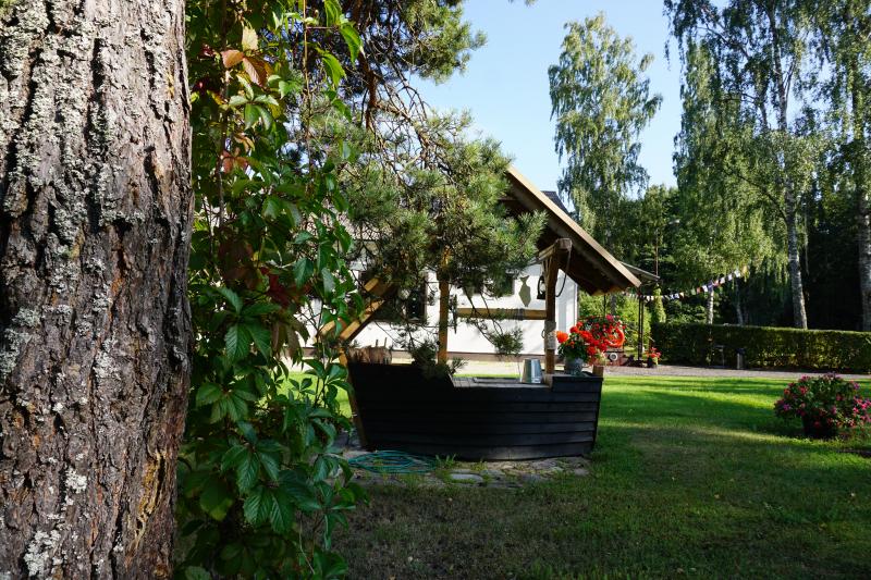 bilde Nr.33