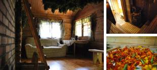 Pirts procedūras, pirts, foto 0