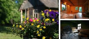 Lejassilvēveri, pirts, foto 0